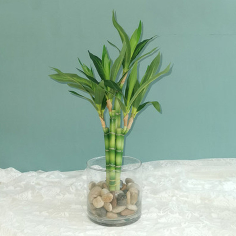 New 40cm Artificial Lucky Bamb - Marine Fish Tank recension och pris