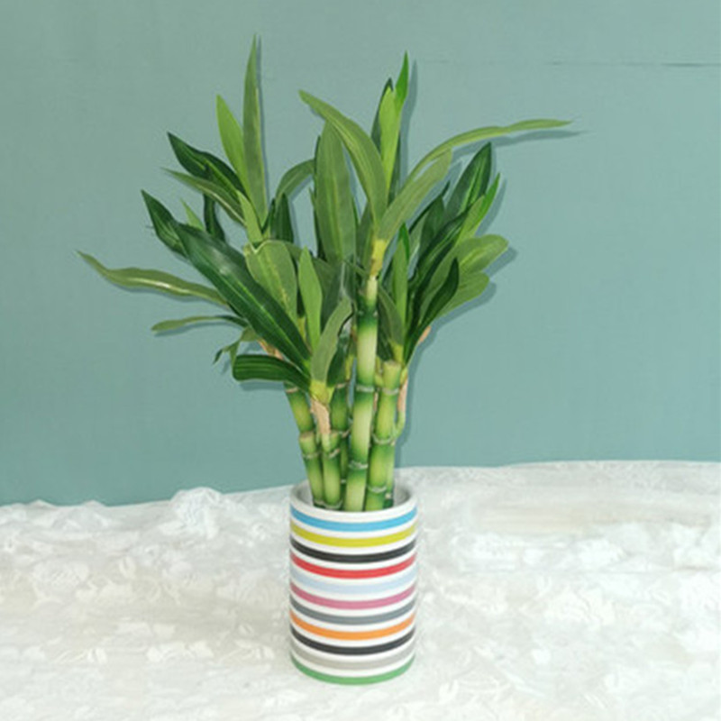 New 40cm Artificial Lucky Bamb - Marine Fish Tank recension och pris