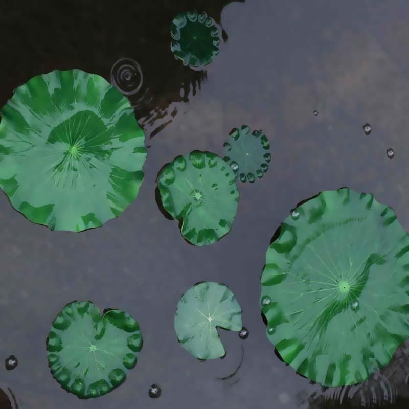 2026 Artificial Water Lily Lot - Ocean Aquarium recension och pris