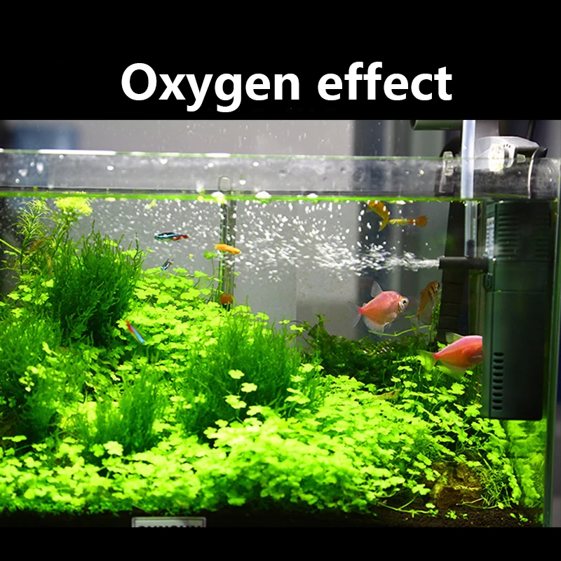 SUNSUN Mini Nano 111B 311B 611 - Reef Tank Filter recension och pris